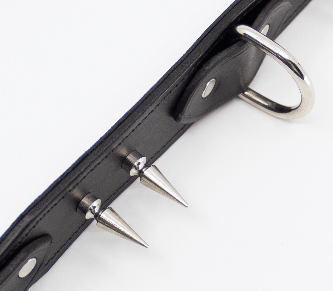 Spiked leather collar