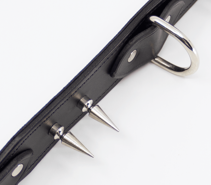 Spiked leather collar