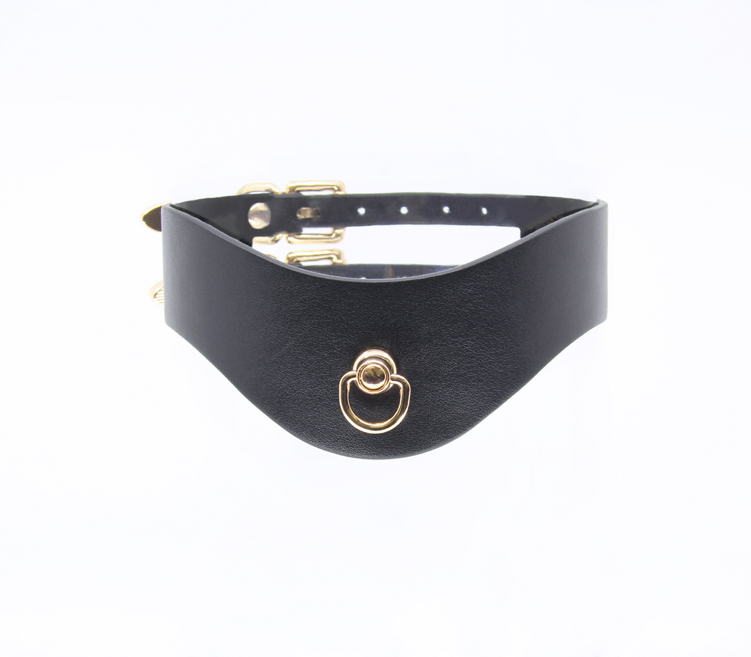 Love in Leather double strap collar with gold hardware - premium leather BDSM collar with dual buckles